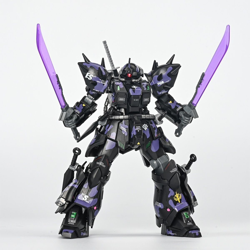 Gundam Model Mg - 2026 Neue Heiße Hg MS-08TX [EXAM]