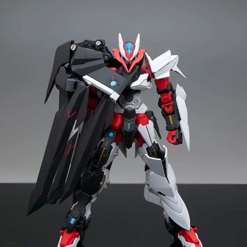 HG 1/144 Astray No-Name Astray – Gundam Model Mg Bewertung und Preis