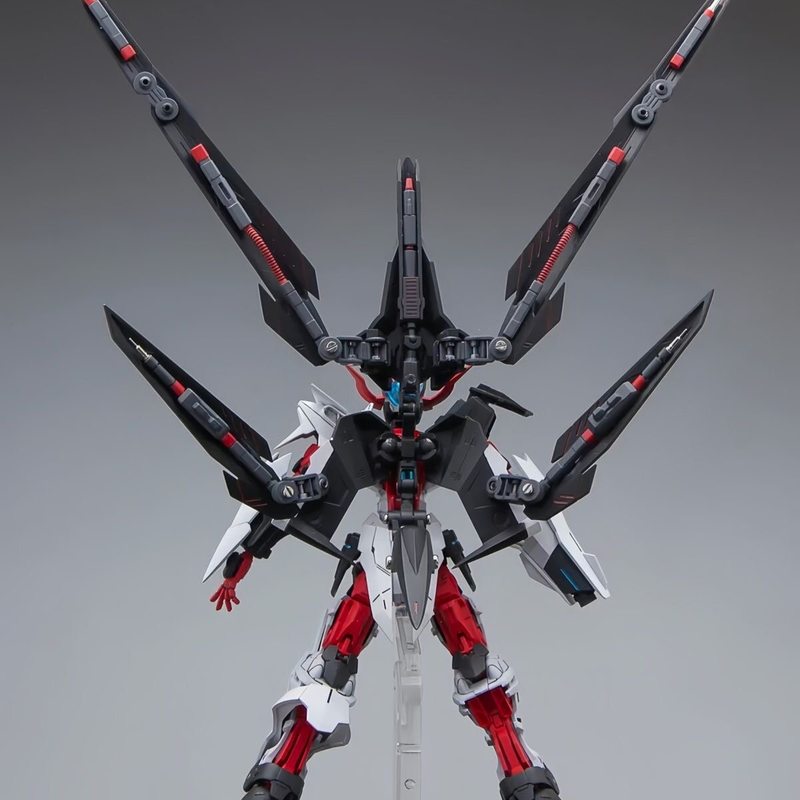 HG 1/144 Astray No-Name Astray – Gundam Model Mg Bewertung und Preis
