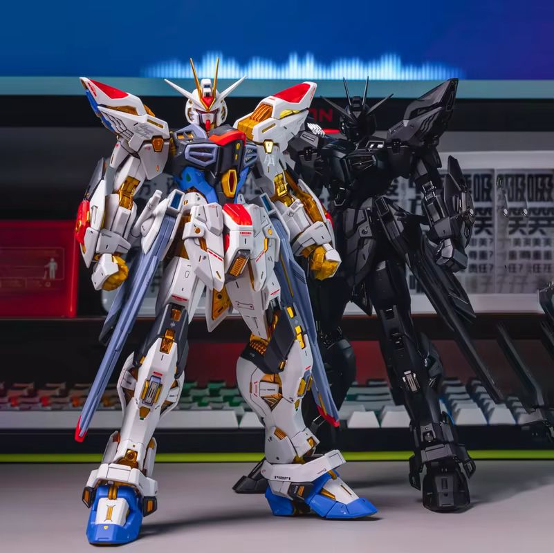 CHANGLONG Modell 7701 MGEX ZGM – Gundam Model Mg Bewertung und Preis