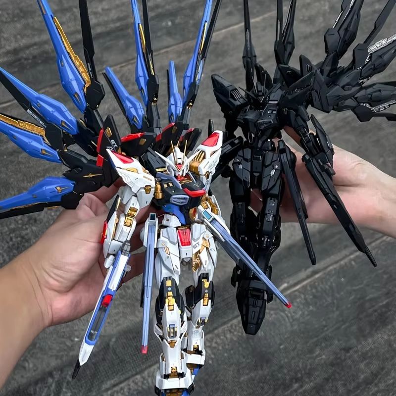 CHANGLONG Modell 7701 MGEX ZGM – Gundam Model Mg Bewertung und Preis