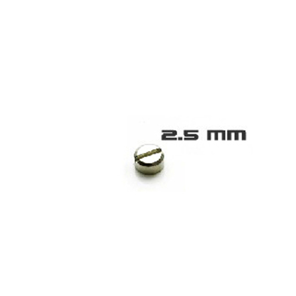 30 stücke Gepanzerte Schrauben – Gundam Model Mg Bewertung und Preis