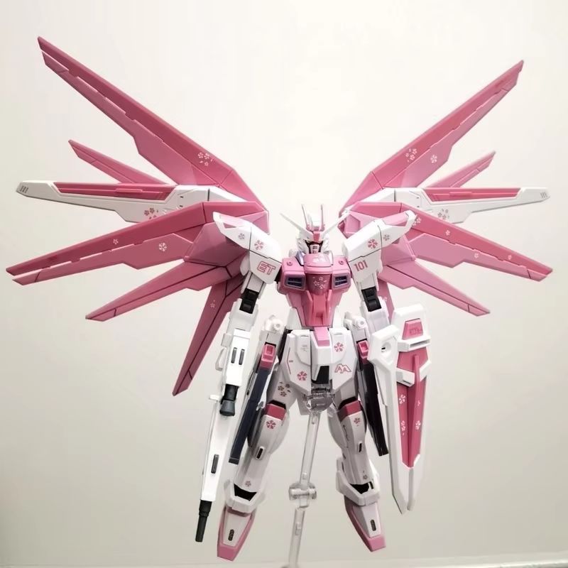 JMS HG 1/144 ZY-06 Freedom Ass – Gundam Model Mg Bewertung und Preis